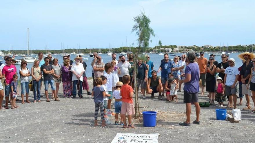 La &#039;siembra-protesta&#039; de un tamarindo el pasado domingo.