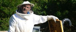 Las intensas lluvias merman la producción de la miel de floración del eucalipto en la comarca