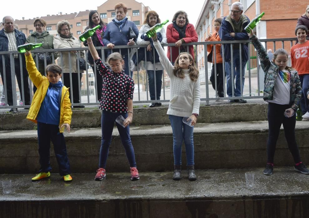 Magüestos en los colegios