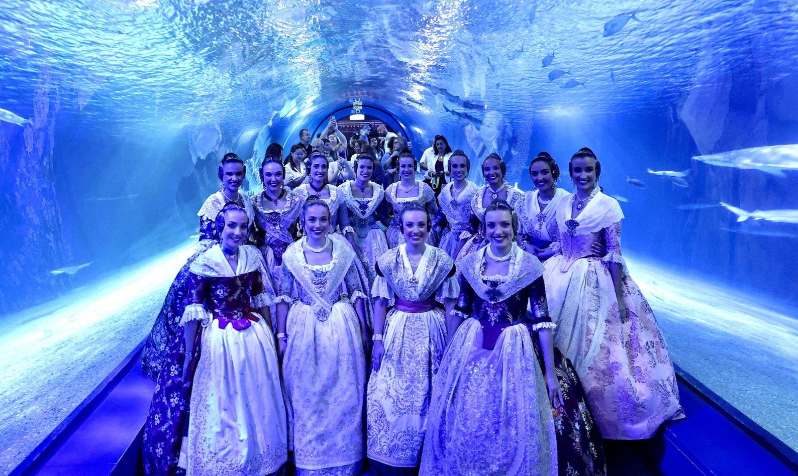 Cita de las candidatas a Fallera Mayor 2026 en l'Oceanogràfic