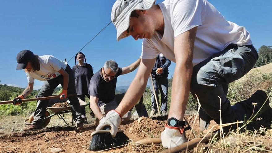 Los arqueólogos reanudan las excavaciones en la villa romana de La Estaca