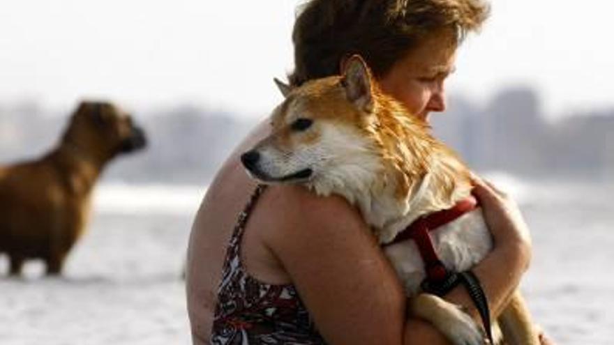 El sindicato de policías pide «claridad» en el acceso de los perros a las playas de la ciudad