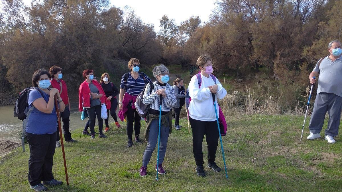 A Santiago de Compostela por el &#039;mar de olivos&#039;