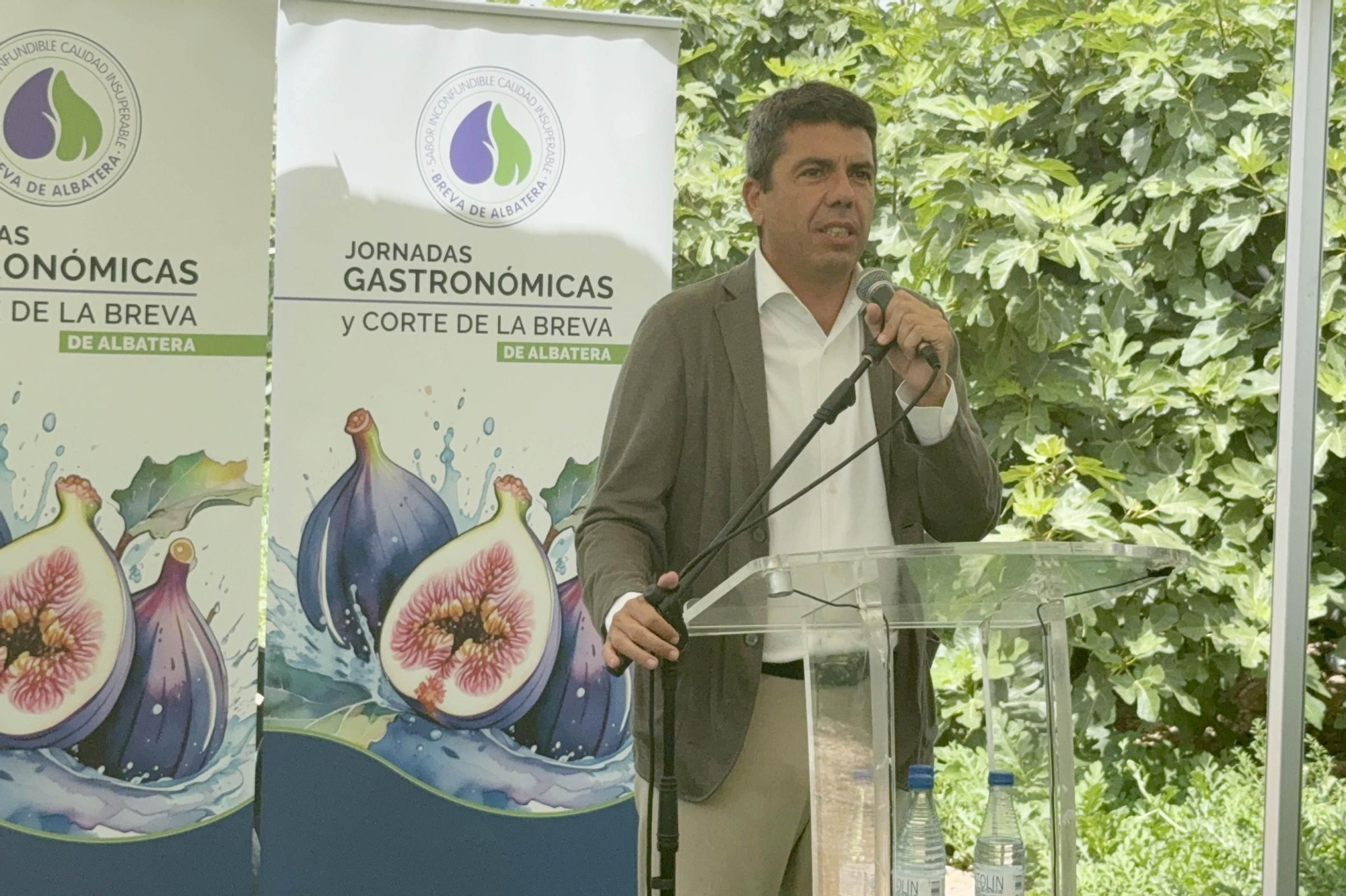 Acto simbólico del arranque de la campaña de breva colar de Albatera