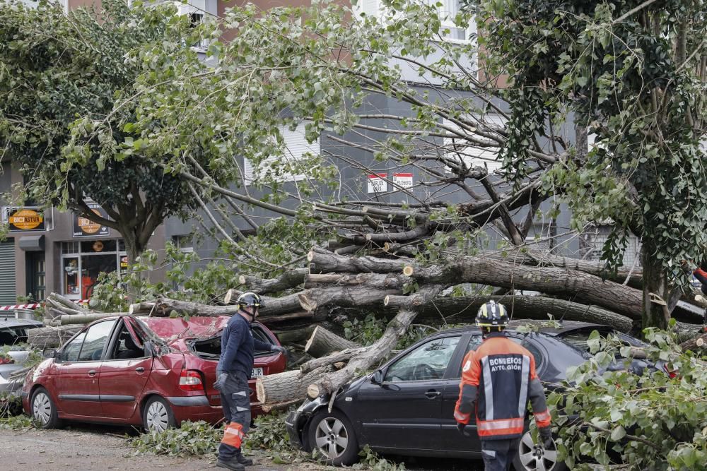 Daños por el temporal en Gijón.