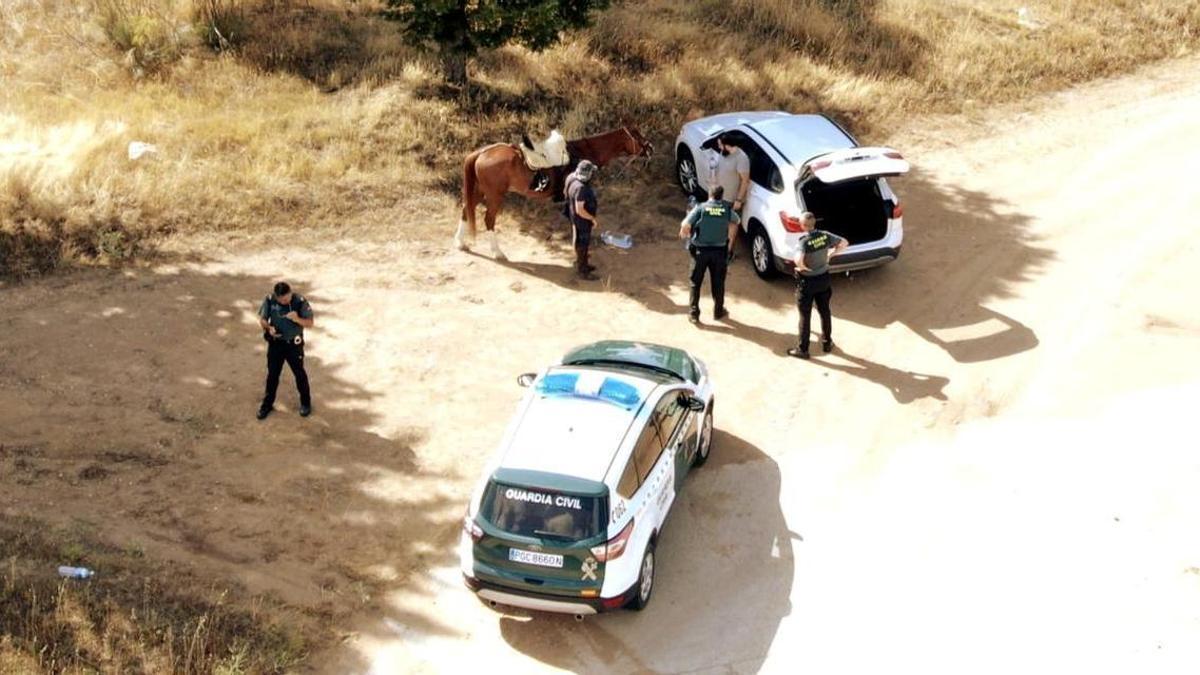 Localizado en buen estado un hombre desaparecido mientras iba a caballo en la zona de Toro.