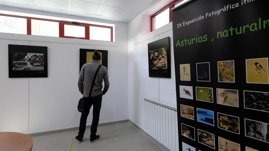 El pozo Sotón acoge la muestra &quot;Asturias, naturalmente&quot;