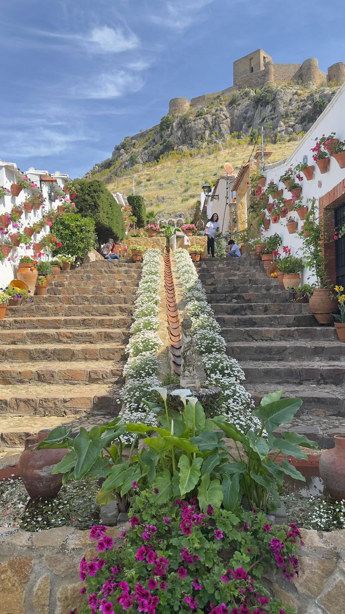 La Diputación da a conocer los ganadores del Concurso de Patios, Rejas y Rincones de la provincia