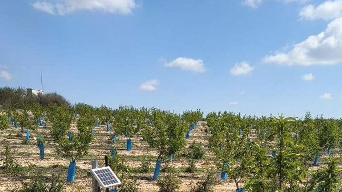 Uno de los equipos inteligentes instalados en la comunidad de regantes El Porvenir para monitorizar el riego y ayudar a reducir las pérdidas de agua