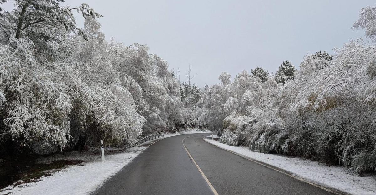 Alto de Fontefría, en A Cañiza. |  Luis Piña