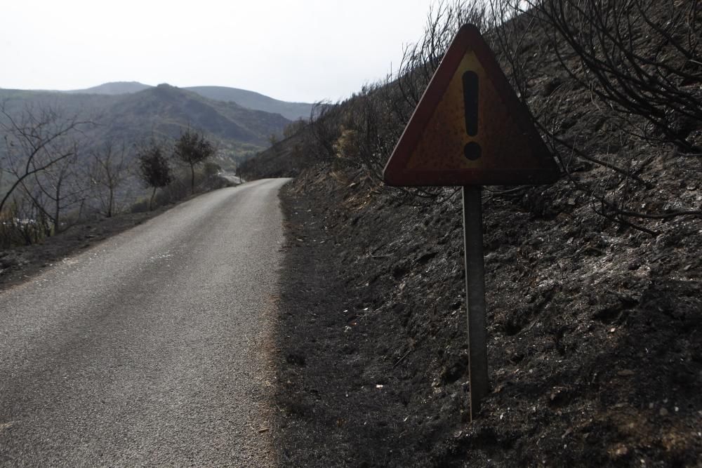 Incendio en los montes de León