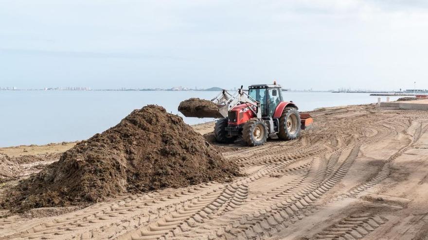 Comienza la limpieza de playas en Cartagena