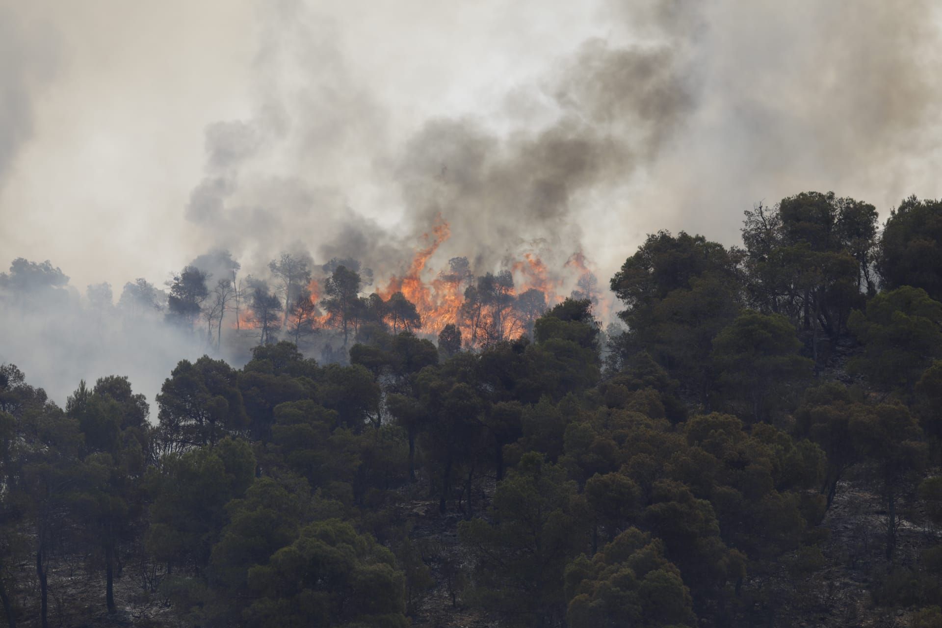 FOTOGALERÍA | El incendio forestal en Nonaspe, en imágenes