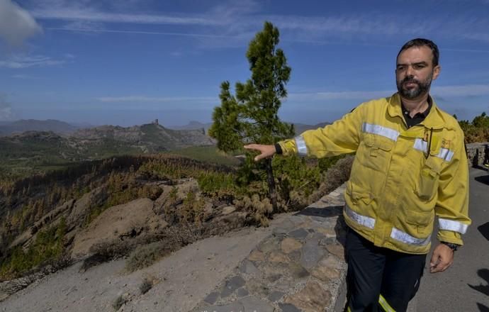 27/09/2017 CUMBRE DE GRAN CANARIA. Consejero del Gobierno de Canarias Morales del incendio. FOTO: J. PÉREZ CURBELO