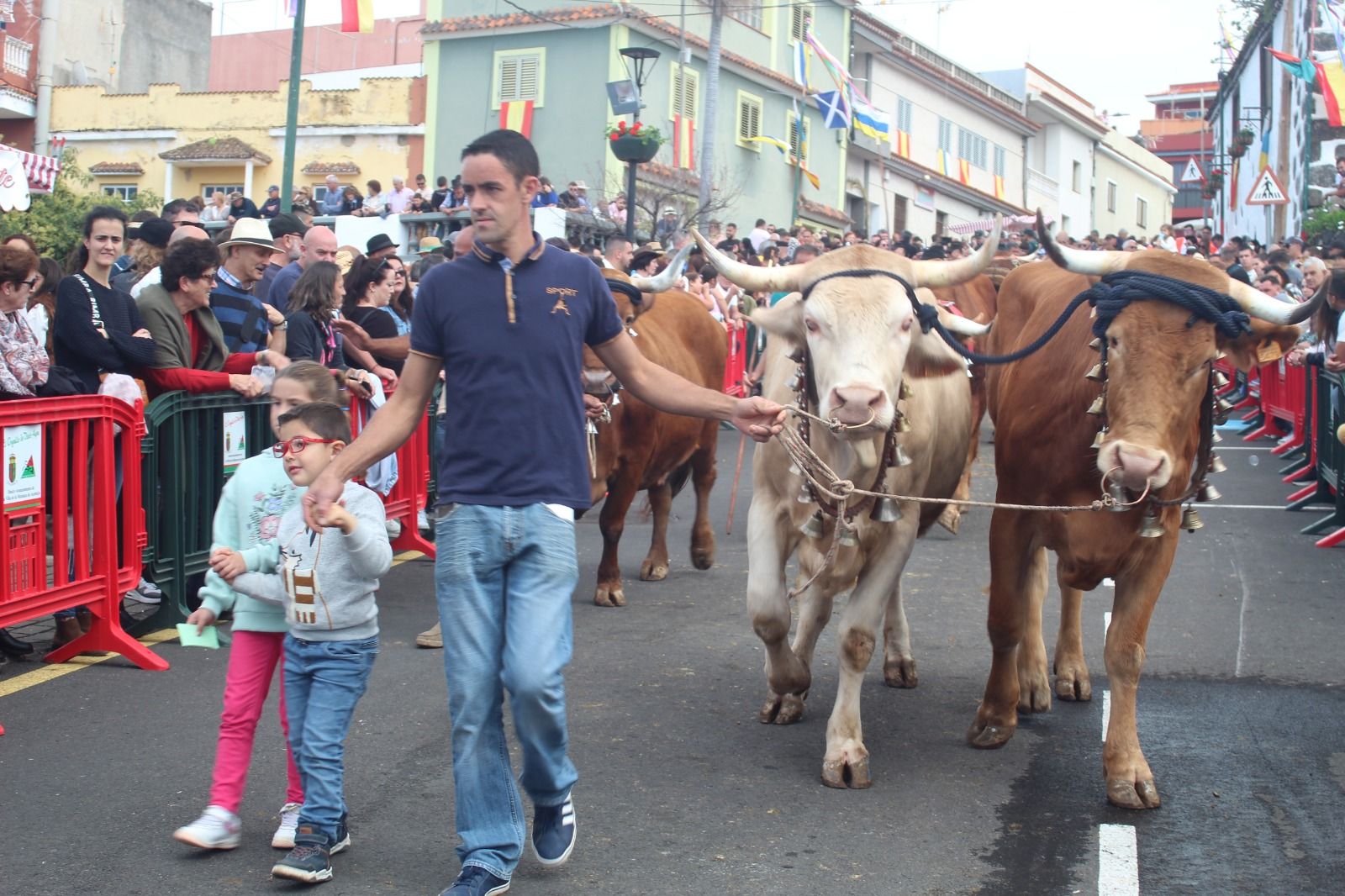 Romería de San Antonio Abad, en La Matanza