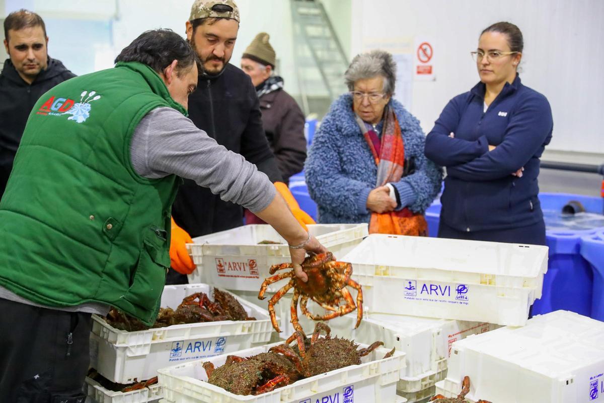 Subasta de centollo en la lonja de O Grove.