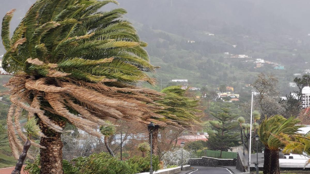 Radical cambio de tiempo en Canarias: la Aemet pronostica lluvias en las islas