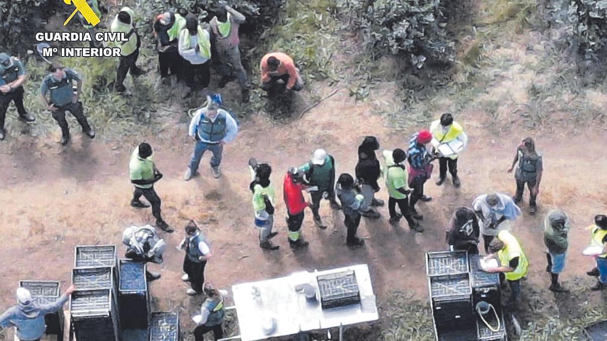 Inspección de la Guardia Civil en un plantación de Baamonde donde se explotaban migrantes.
