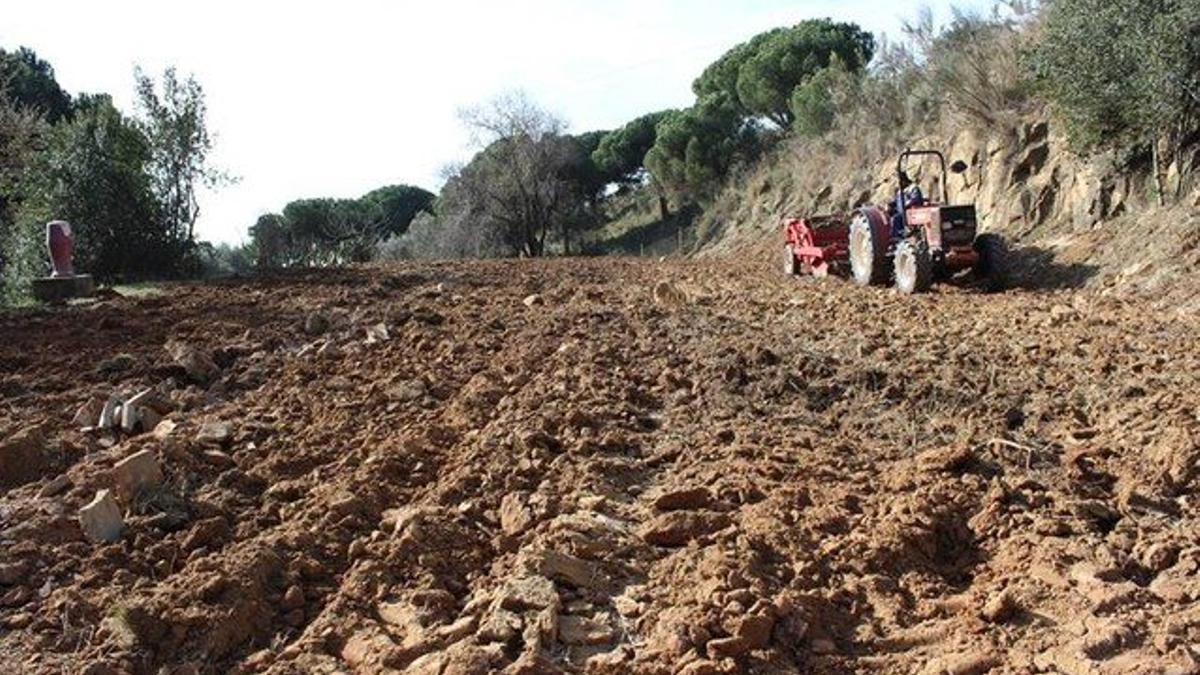 Imagen del terreno que es está acondicionando en el Recinto Torribera.