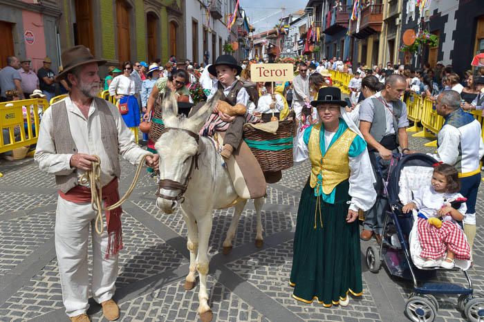 Carretas y grupos en la romería del Pino