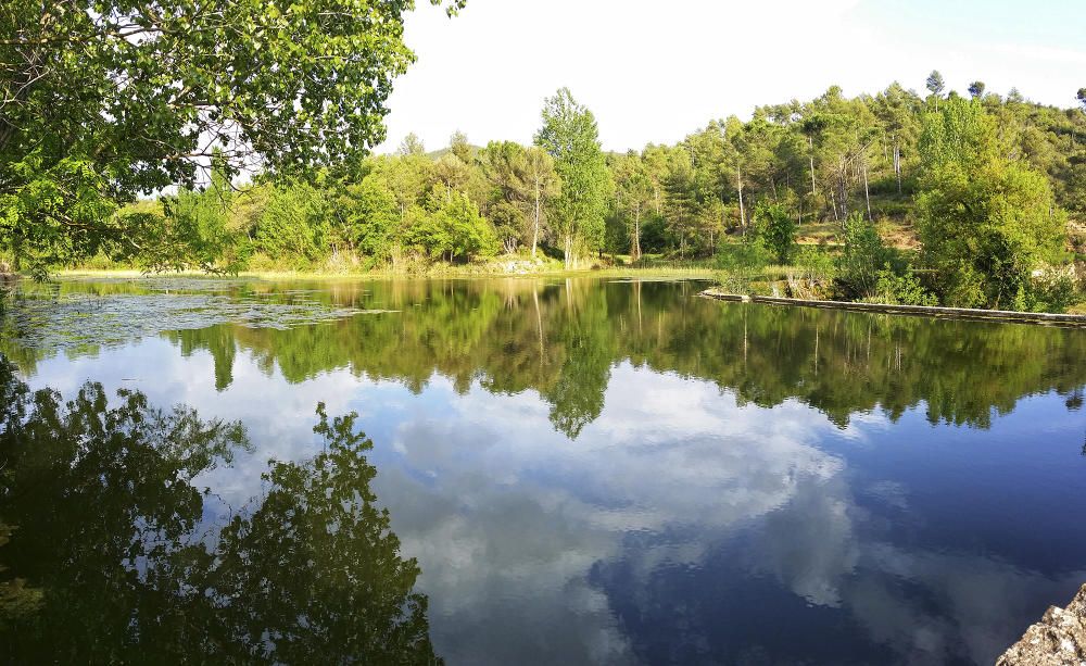 Llac d’Argençola. Les aigües clares del llac reflecteixen, com si d’un mirall es tractés, tot el paisatge primaveral al seu voltant