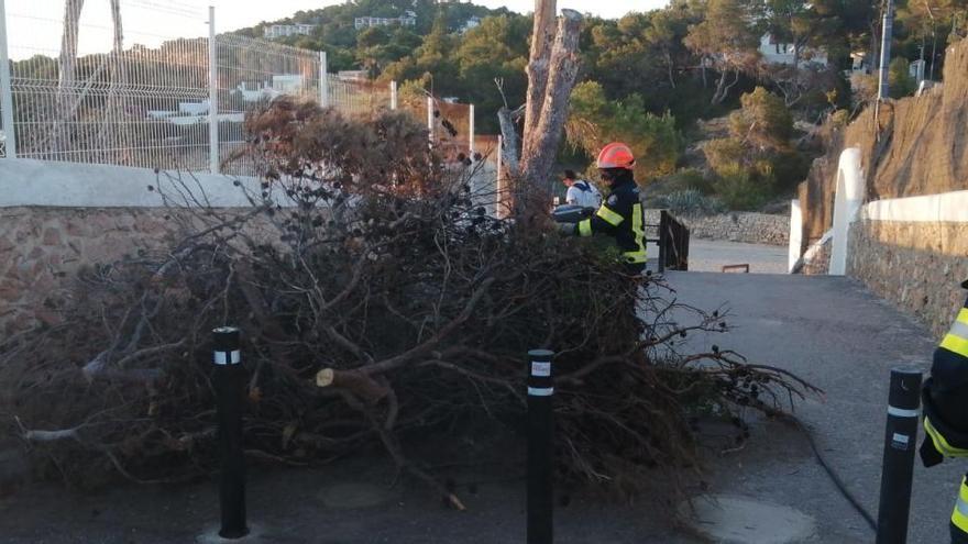 Sant Antoni frustra una fiesta de la Noche de San Juan en Cala Gració