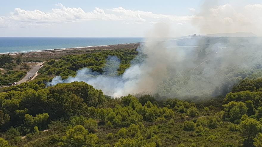 Controlado el incendio en el Saler que amenazaba l&#039;Albufera