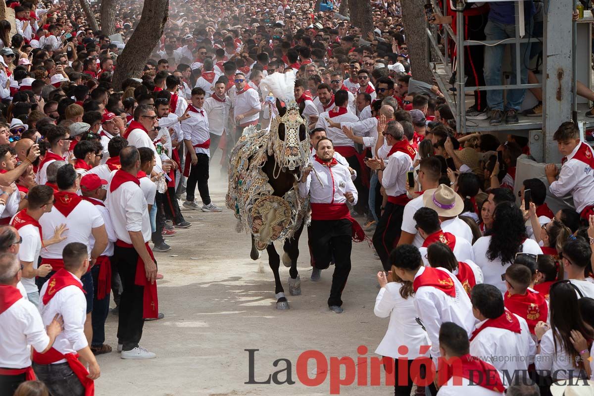 Así ha sido la carrera de los Caballos del Vino en Caravaca