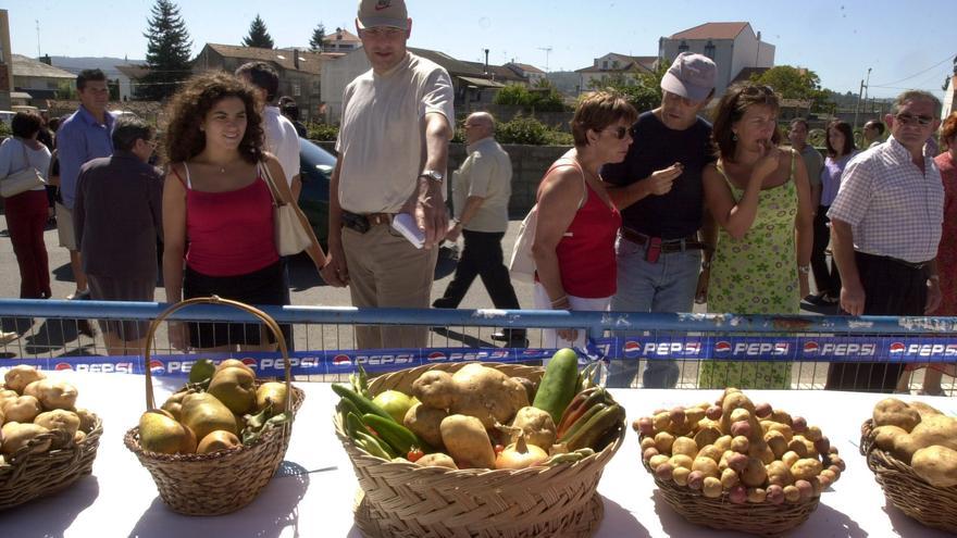 La huerta de la comarca está en Bergantiños y Ordes: la mayor densidad de patata, berza o col