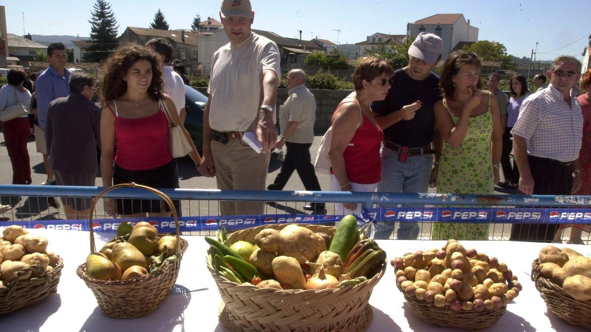 Muestra de tubérculos y otros vegetales en la Festa da Pataca de Coristanco