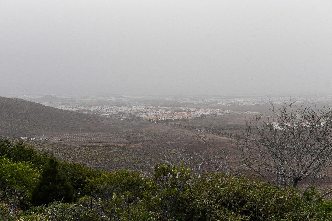 Calima en Las Palmas de Gran Canaria (17/03/2022)