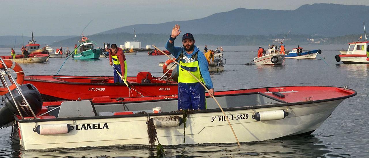 Participantes en la campaña de libre marisqueo, en Os Lombos do Ulla, la semana pasada. |   //  NOÉ PARGA