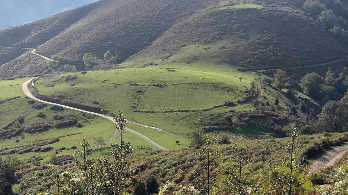 La Campa Fresneo y las marcas de los recintos ovalados y transversales