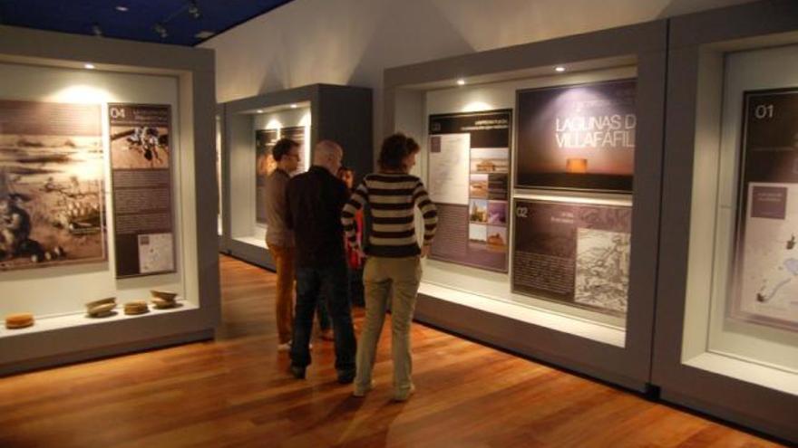 Arqueología de la provincia, en el Museo de Zamora