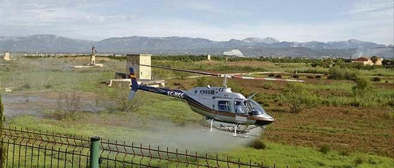 Ein Hubschrauber streut auf einem Archivbild Mückenbekämpfungsmittel über dem Feuchtgebiet Pla de Sant Jordi.