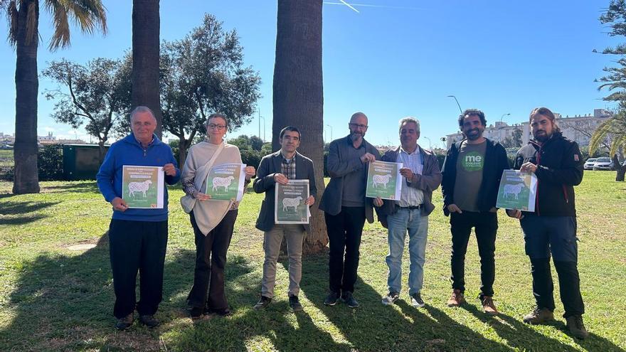 El Govern impulsa una campaña para que se consuma el cordero que se cría en Baleares