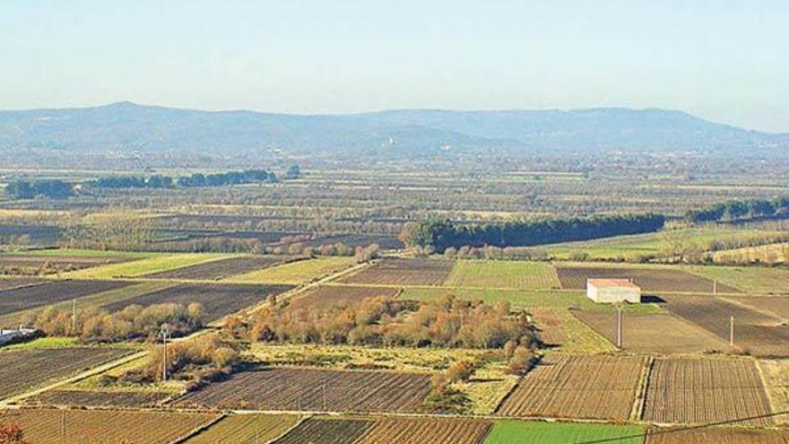 Vista de la zona de cultivo de A Limia.  // Iñaki Osorio