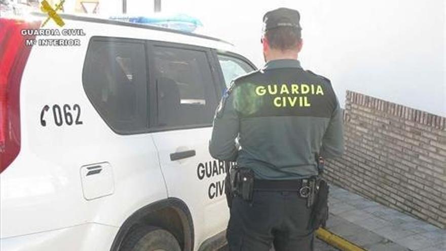 Roban en varios apartamentos y en un gimnasio de Alcossebre