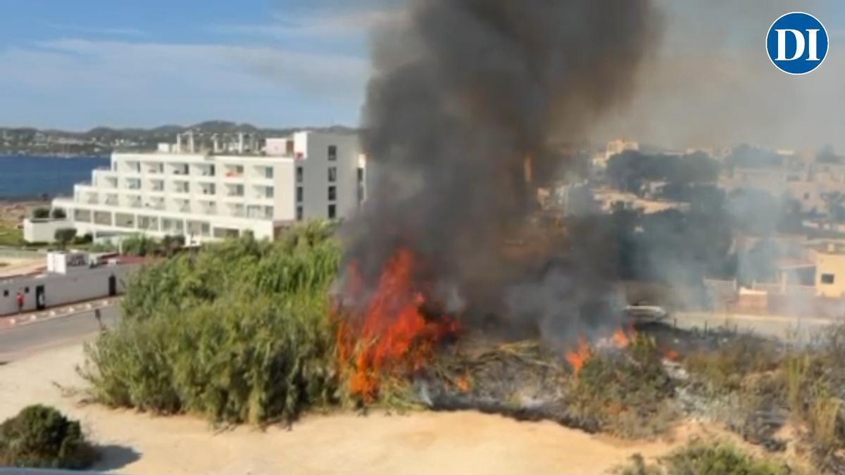Cañizal incendiado en Cala de Bou