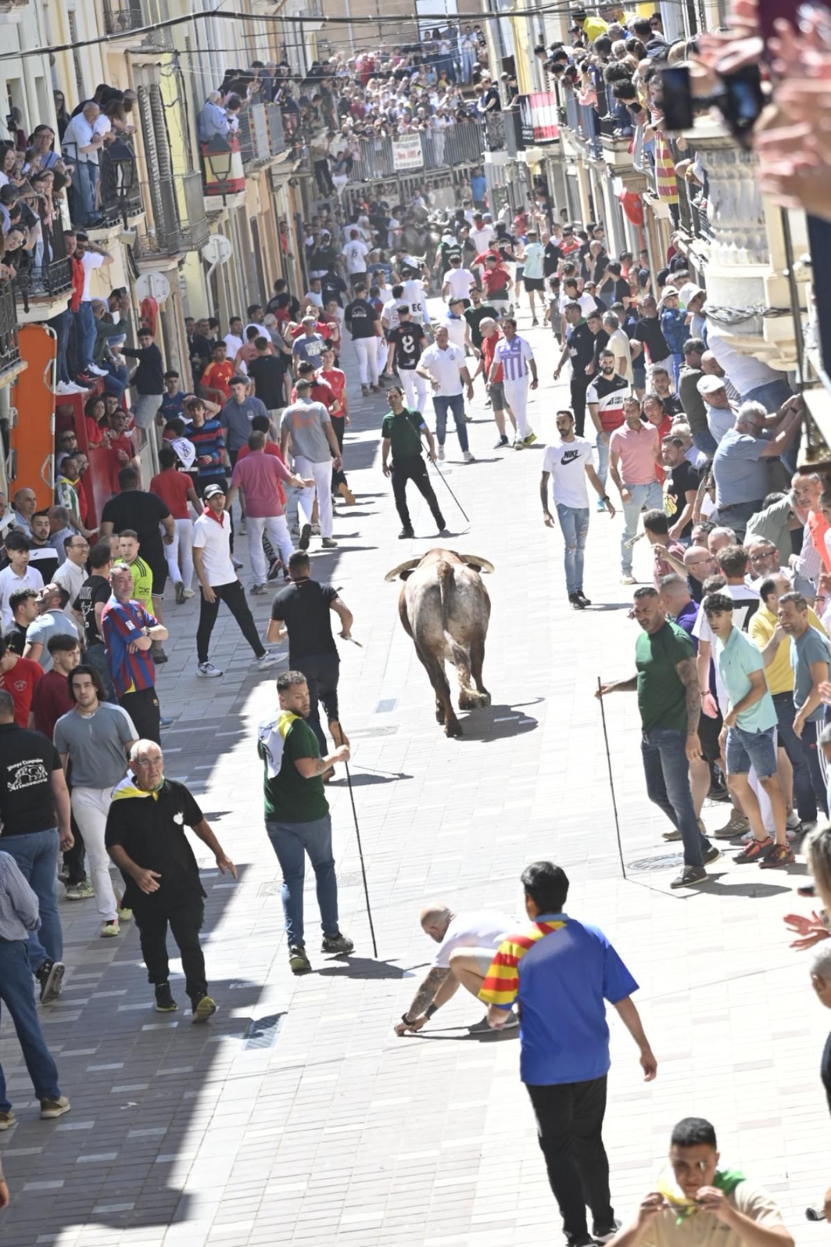 Galería | Almassora vibra con el encierro de cerriles de Gerardo Ortega