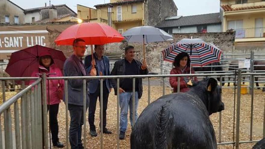 Els animals van ser exposats durant tot el matí.