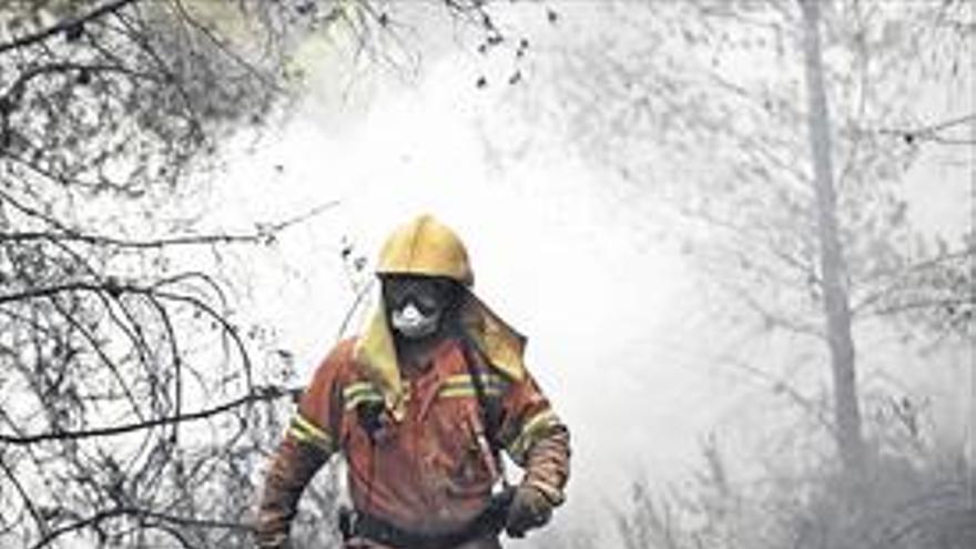 El fuego arrasa 3.000 hectáreas en los cuatro incendios de Valencia