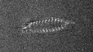 Descobreixen en un llac de Noruega un naufragi que va tenir lloc fa més de 700 anys