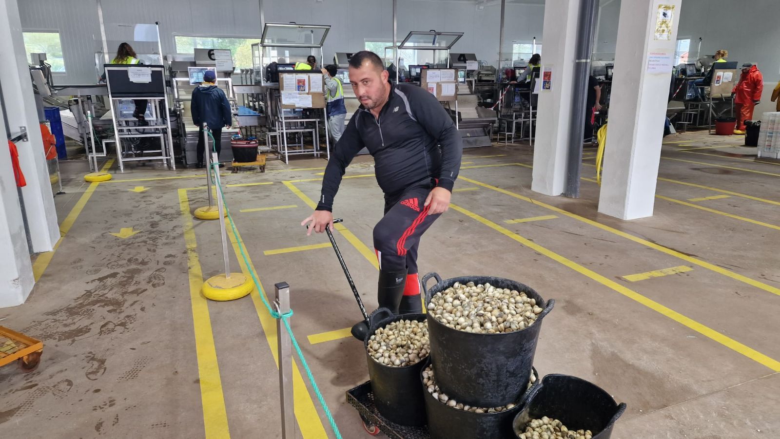 Así es el día a día en el puerto y la lonja de O Testal (Noia), donde cada vez se dan cita más mariscadores arousanos.