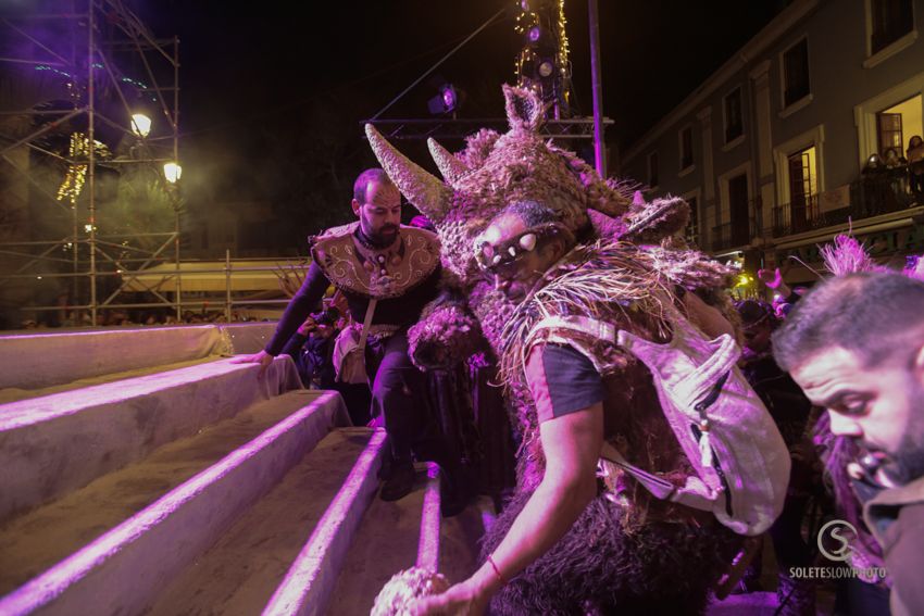 Suelta de la Mussona en el Carnaval de Águilas