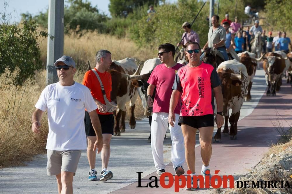 Vereda en Moratalla