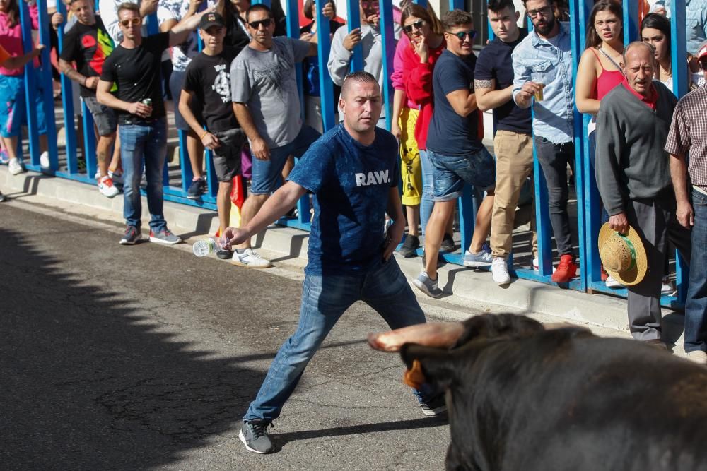 Encierro Urbano Bóveda de Toro