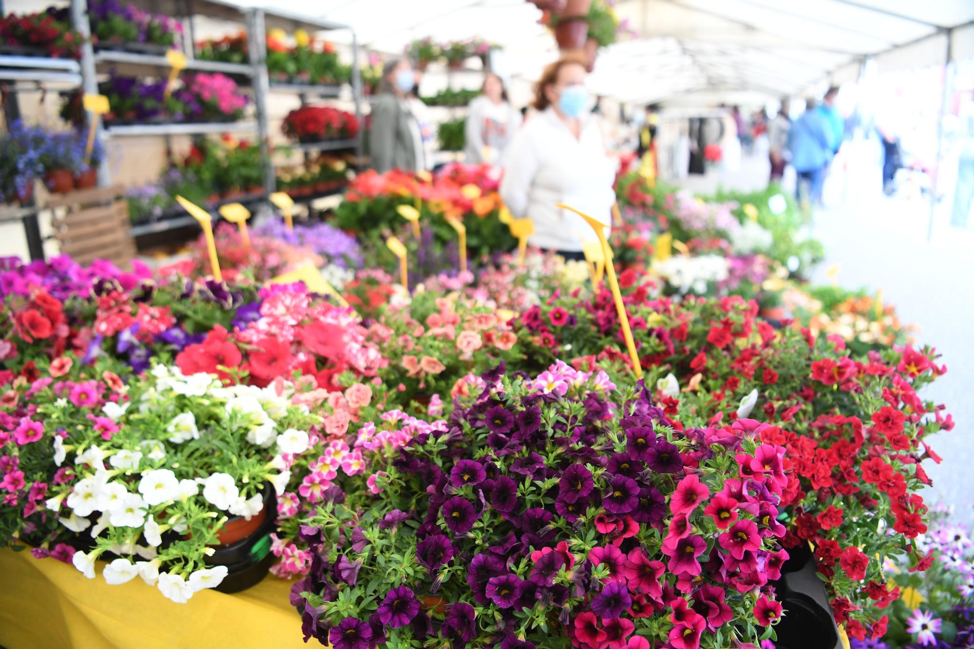 Feira das flores de Vilarmaoir