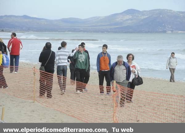 GALERÍA DE FOTOS - Campeonato de España de Campo a través en Marina d’Or