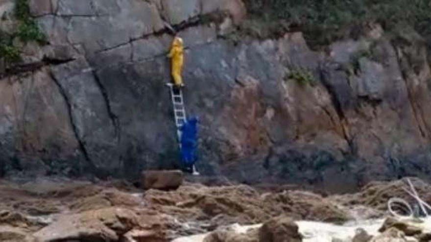 Dos operarios retiran el nido de velutinas en la playa.